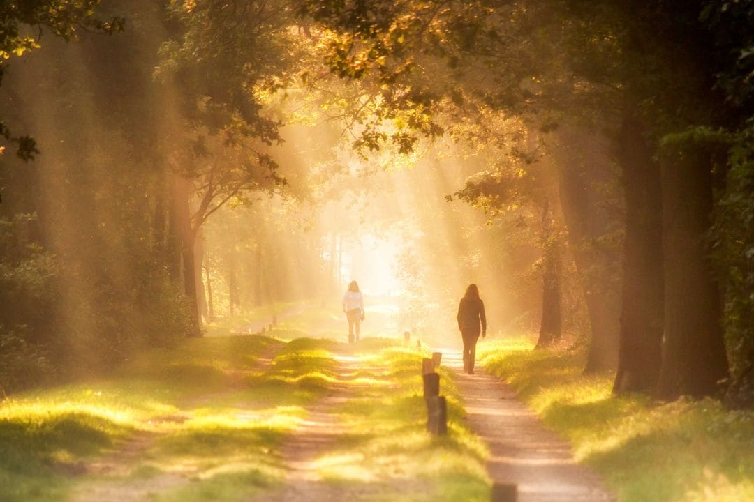 Camminare all'alba: il modo più facile per muoversi senza soffrire il caldo di giugno