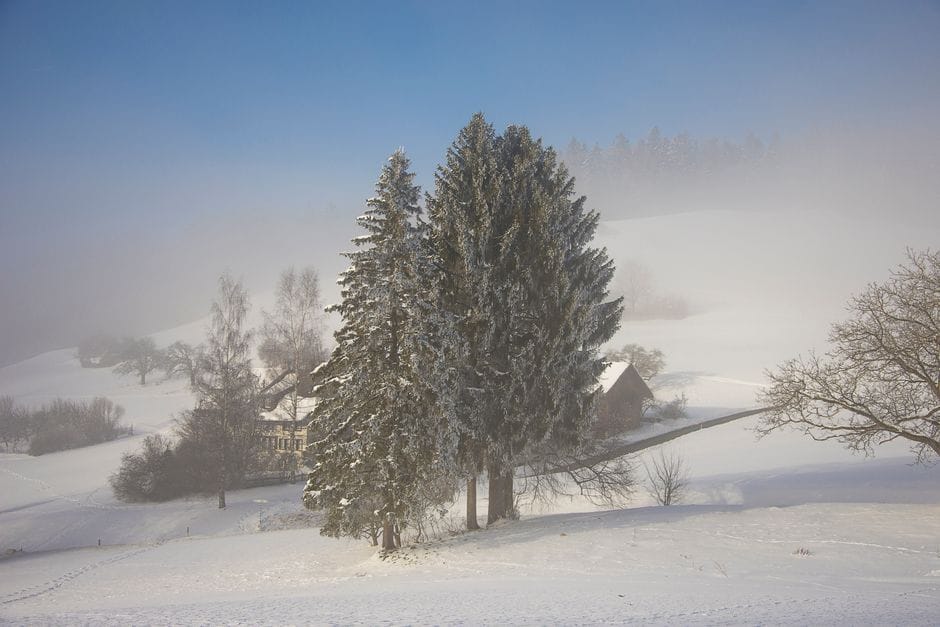 Umore e stagioni: convivere con il calo invernale