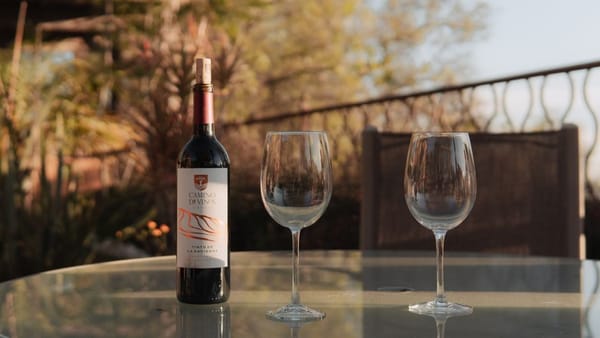 Alcol: dove sono i limiti ragionevoli