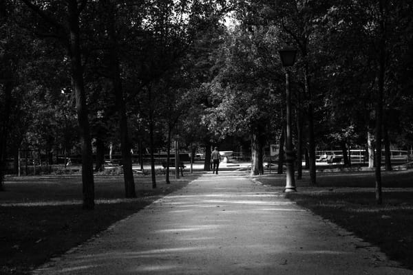 Camminare 30 minuti al giorno: cosa cambia davvero