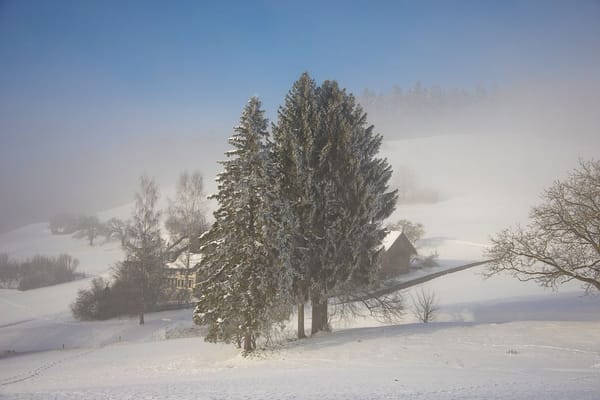 Umore e stagioni: convivere con il calo invernale
