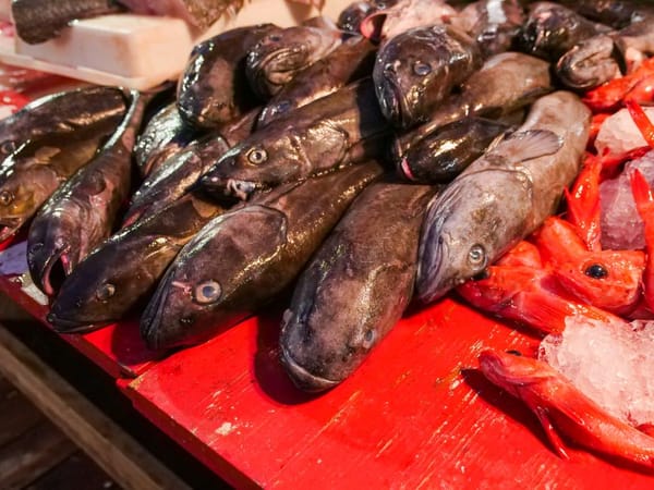 Pesce: quante volte a settimana e quale scegliere